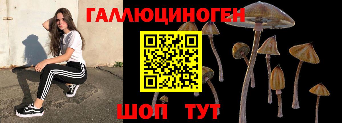 Псилоцибиновые грибы Psilocybe Уссурийск